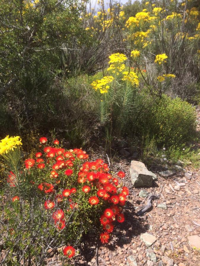 Tibani Nature Reserve Holiday home *