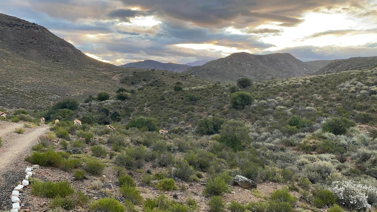 Holiday home Tibani Nature Reserve
